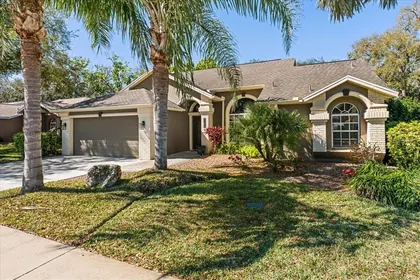NEW PORT RICHEY FL Home