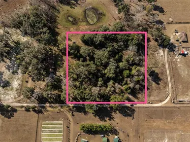 OXFORD FL Property