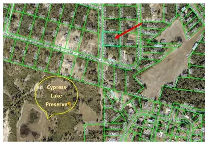 WEBSTER FL Property