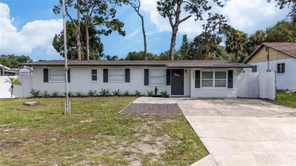 NEW SMYRNA BEACH FL Home