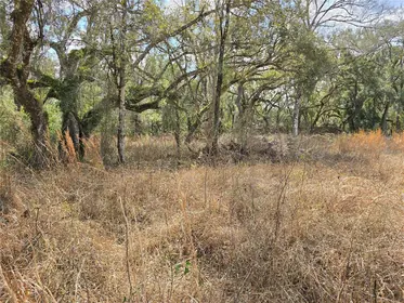 WEBSTER FL Property