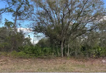 PORT CHARLOTTE FL Property