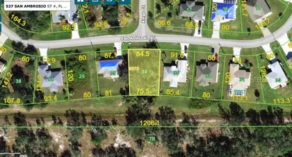 PUNTA GORDA FL Property