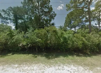 GENEVA FL Property