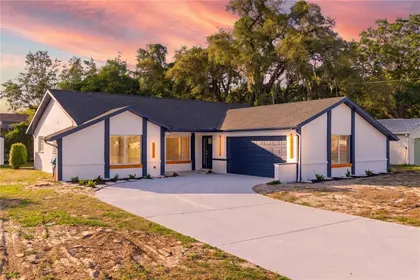SPRING HILL FL Home