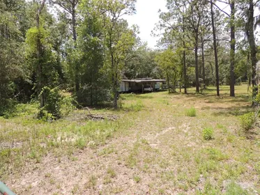 WILLISTON FL Home