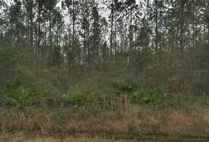 HASTINGS FL Property