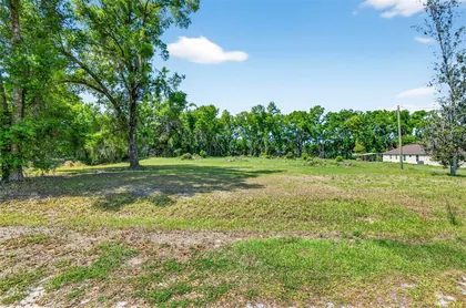 DADE CITY FL Property