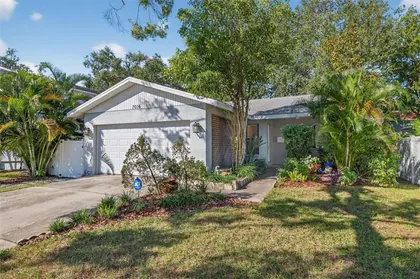 ST PETERSBURG FL Home