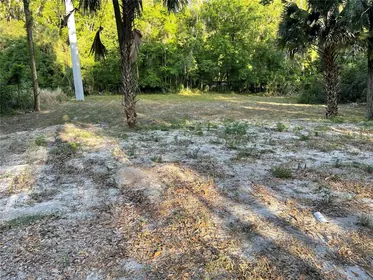 DE LEON SPRINGS FL Property