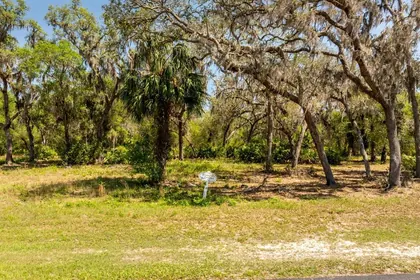 GROVELAND FL Property