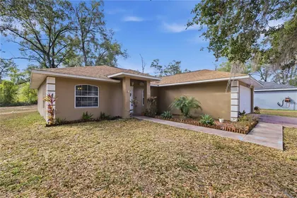 BELLEVIEW FL Home