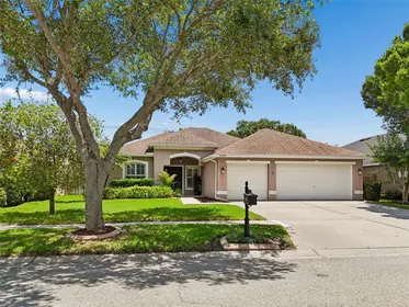 TAMPA FL Home