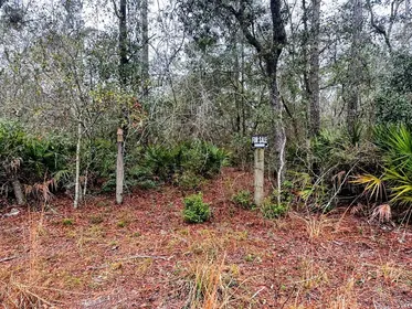 TRENTON FL Property