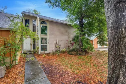 TAMPA FL Home