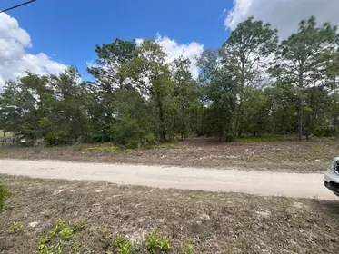 DUNNELLON FL Property