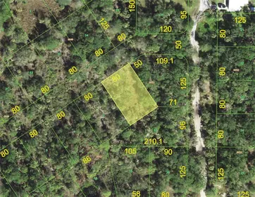 PUNTA GORDA FL Property