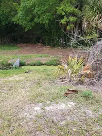 TARPON SPRINGS FL Property