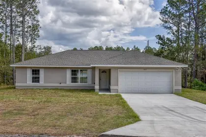 OCKLAWAHA FL Home