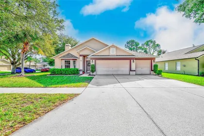 VALRICO FL Home