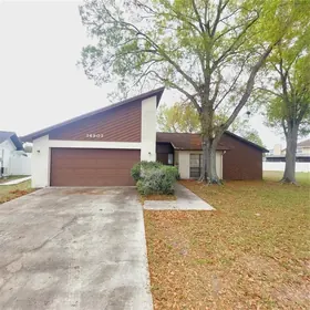 TAMPA FL Home