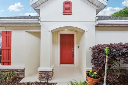 MOUNT DORA FL Home