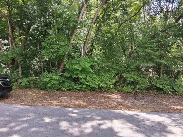 WEBSTER FL Property