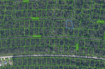 SEBRING FL Property