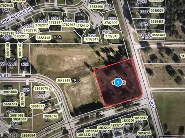 MASCOTTE FL Property