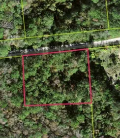 KISSIMMEE FL Property