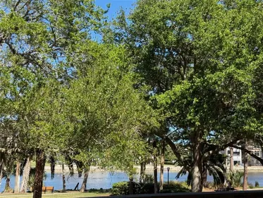 PALM COAST FL Home