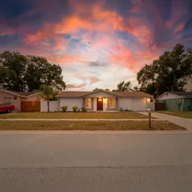 VALRICO FL Home