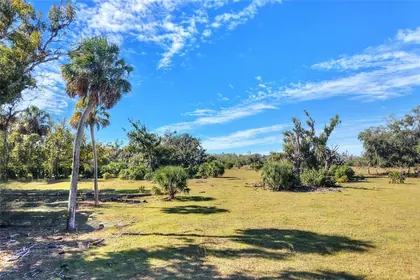 WIMAUMA FL Property
