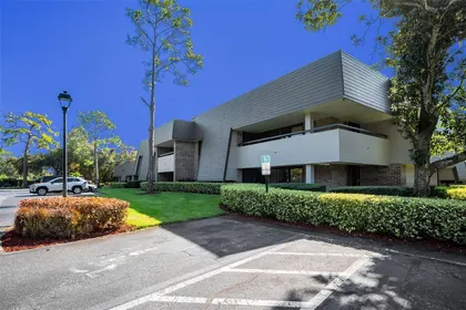PALM HARBOR FL Home