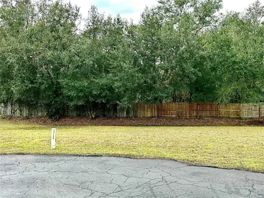 LEESBURG FL Property