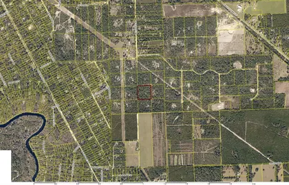 FORT WHITE FL Property