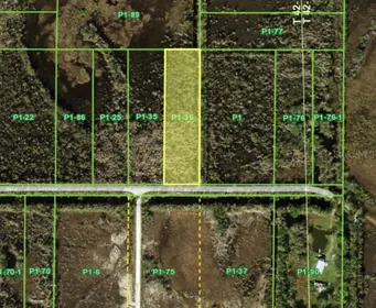 PUNTA GORDA FL Property