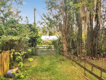 PLANT CITY FL Property