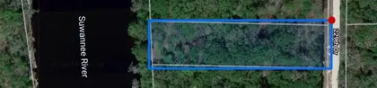 LIVE OAK FL Property