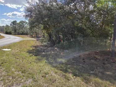 WILLISTON FL Property