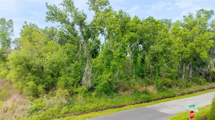 PLANT CITY FL Property