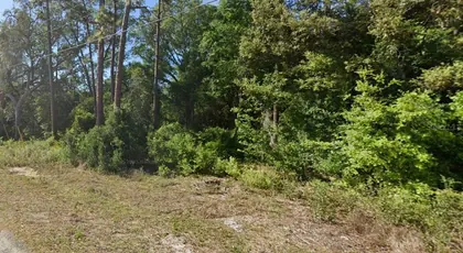 OCKLAWAHA FL Property