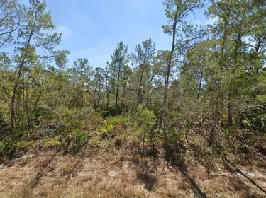 LAKE PLACID FL Property