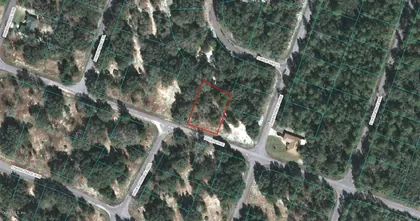 OCKLAWAHA FL Property