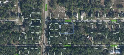 LAKE PLACID FL Property