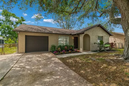 NEW PORT RICHEY FL Home