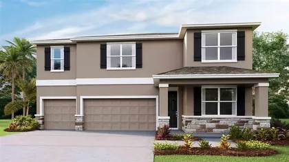 WESLEY CHAPEL FL Home