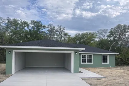 OCKLAWAHA FL Home