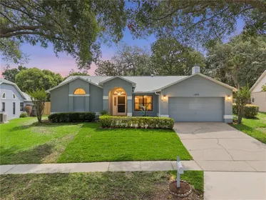 APOPKA FL Home