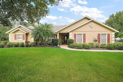 MOUNT DORA FL Home